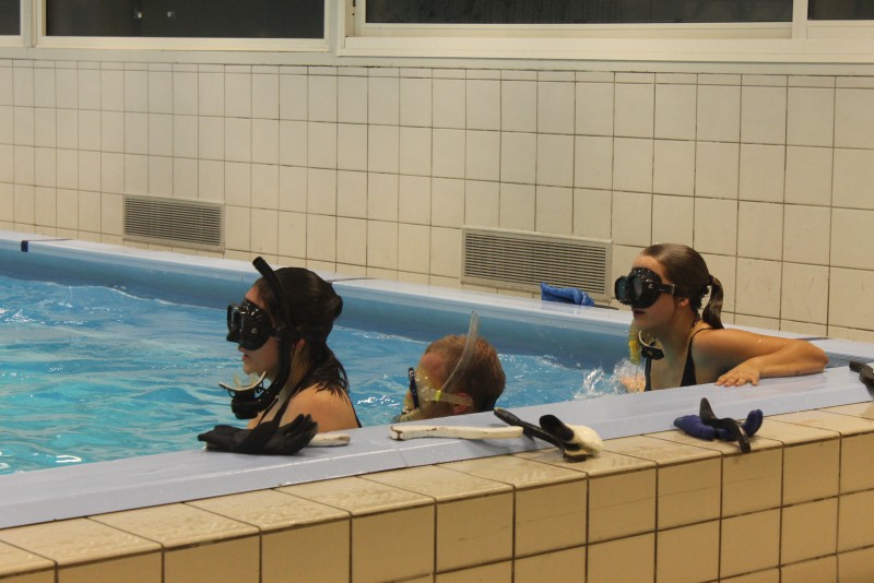 Underwater Hockey Workshop