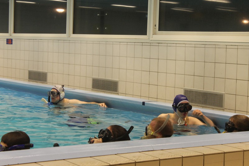 Underwater Hockey Workshop