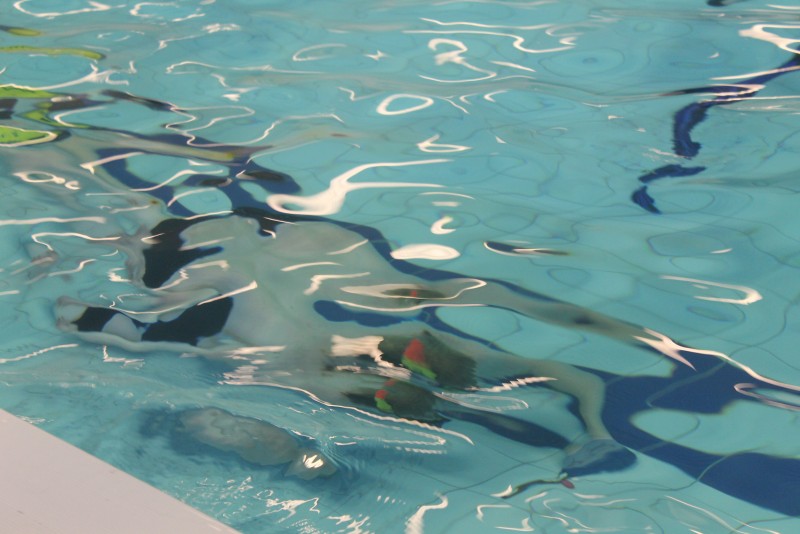 Underwater Hockey Workshop