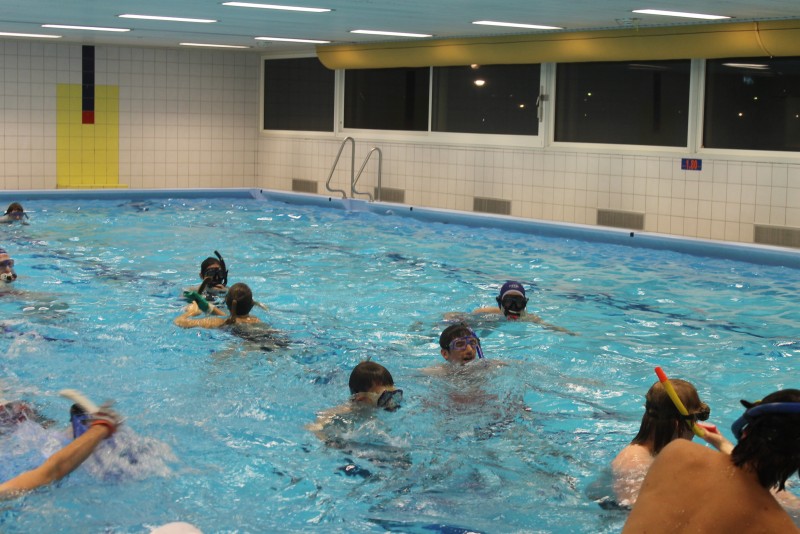 Underwater Hockey Workshop