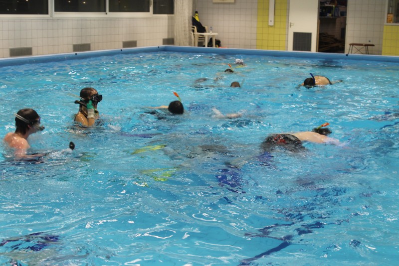 Underwater Hockey Workshop