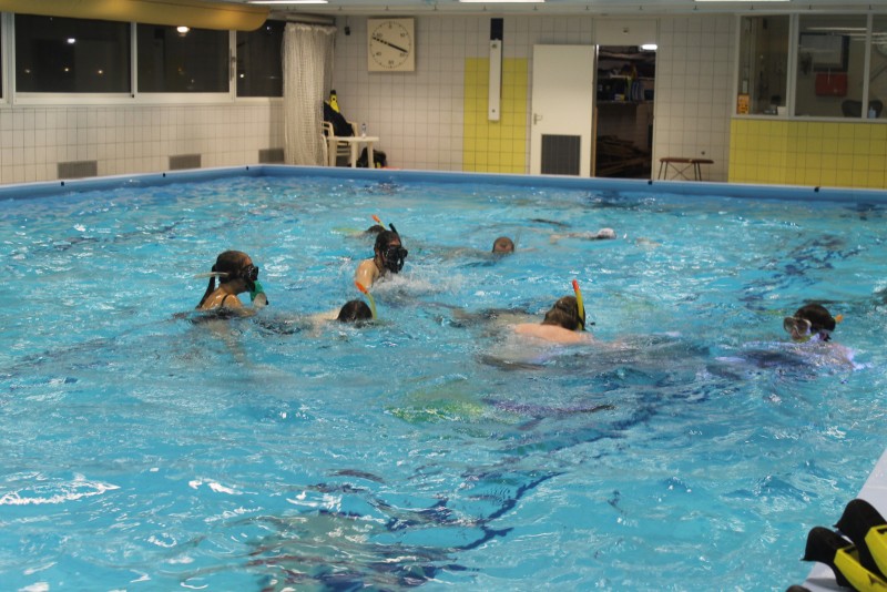 Underwater Hockey Workshop