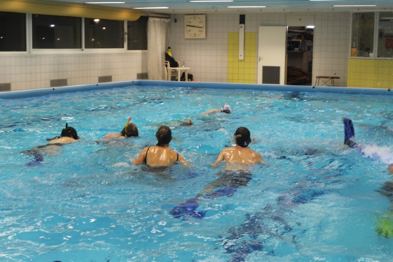 Underwater Hockey Workshop