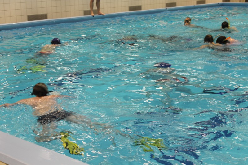 Underwater Hockey Workshop