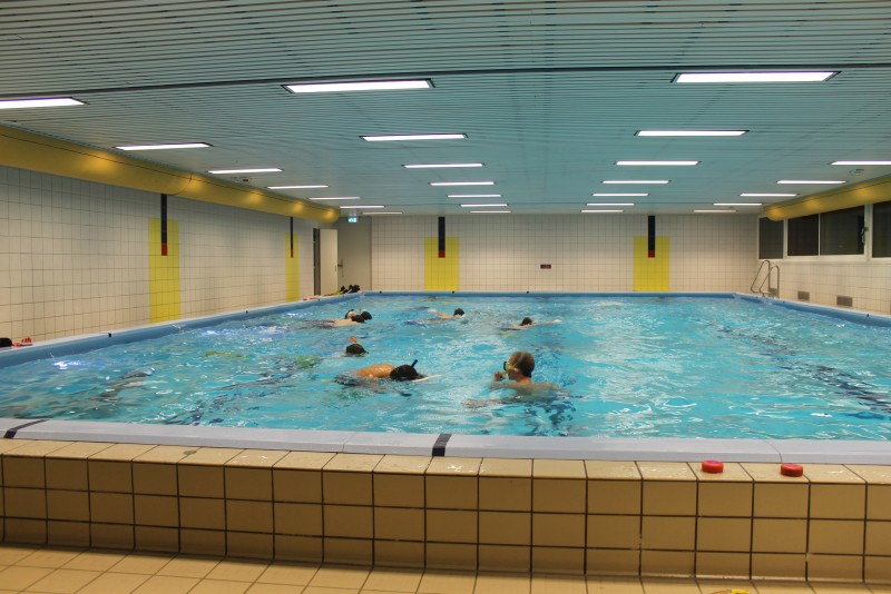 Underwater Hockey Workshop