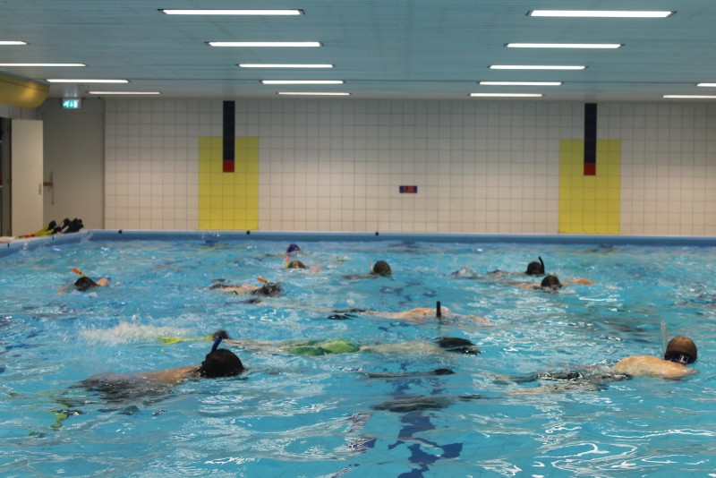 Underwater Hockey Workshop