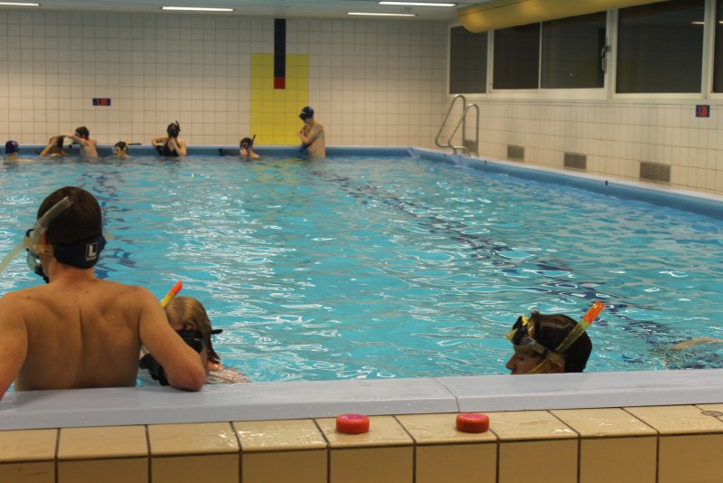 Underwater Hockey Workshop