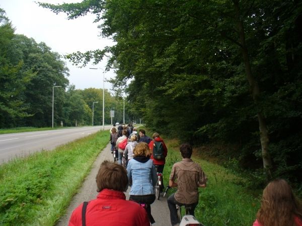 Introductie 2008