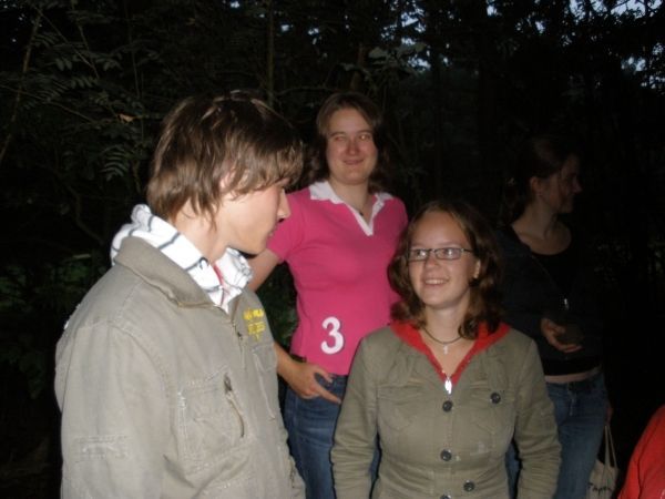 Introductie 2008