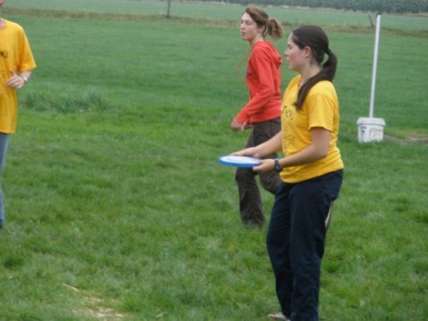 Introductie 2008
