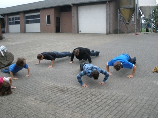 Introductie 2008