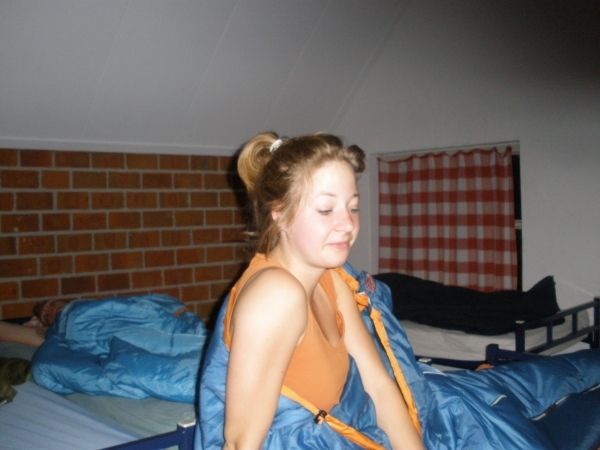 Introductie 2008