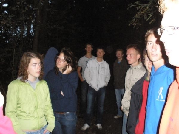 Introductie 2008
