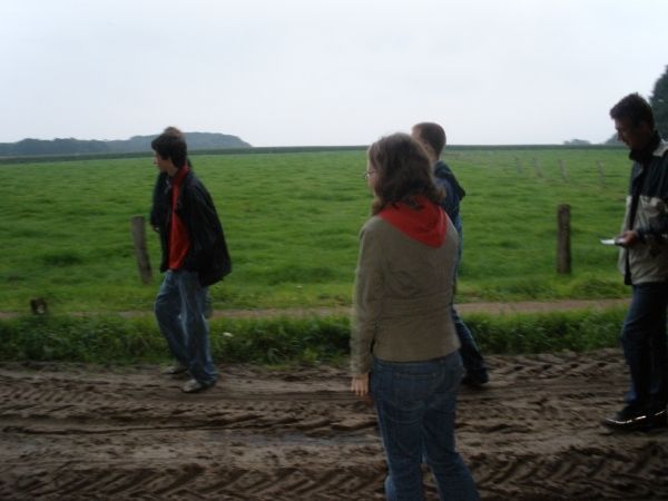 Introductie 2008