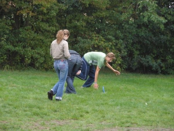 Introductie 2008