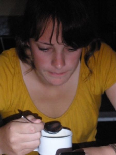 Introductie 2008