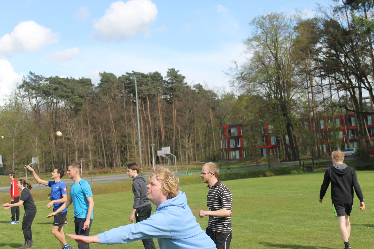 Frisian handball