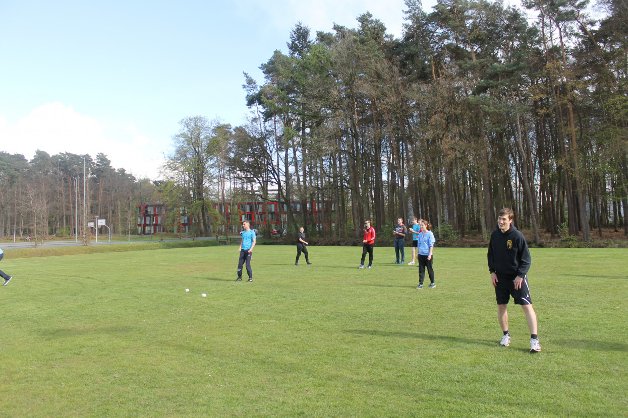 Frisian handball