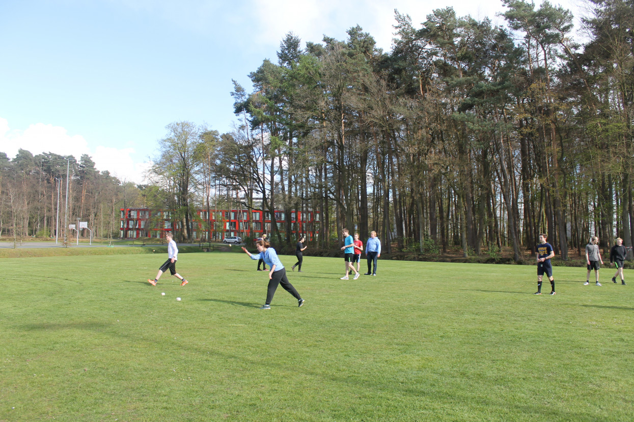 Frisian handball