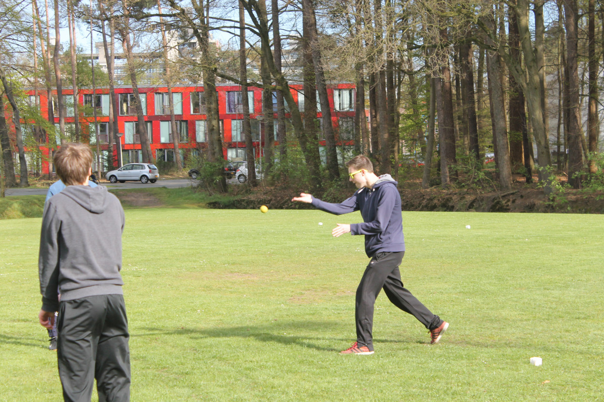 Frisian handball