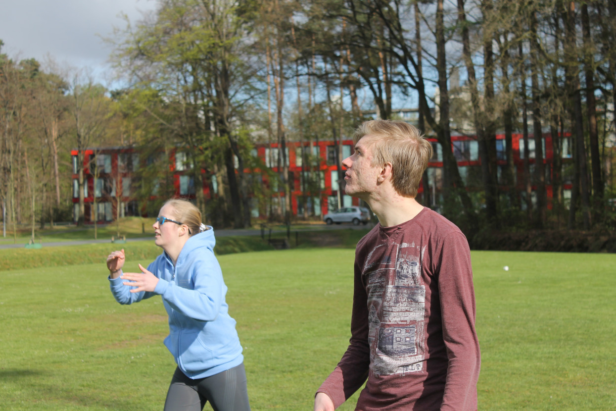 Frisian handball