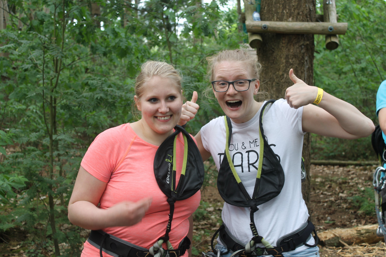 Climbing forest