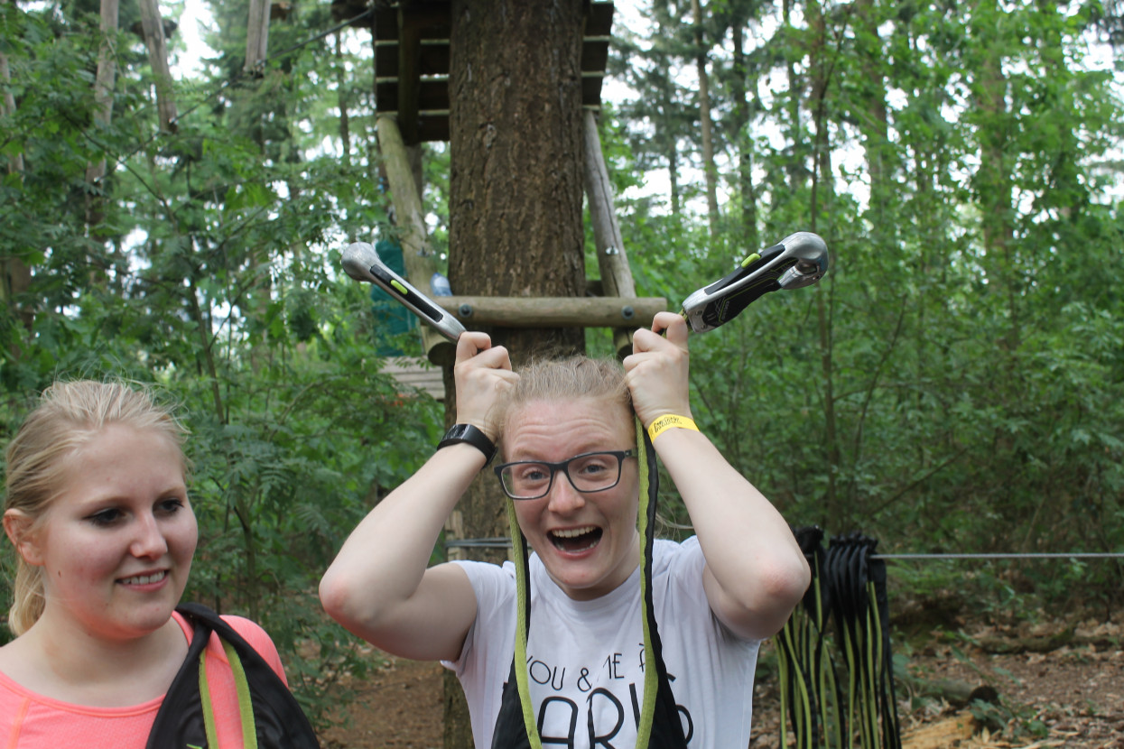 Climbing forest