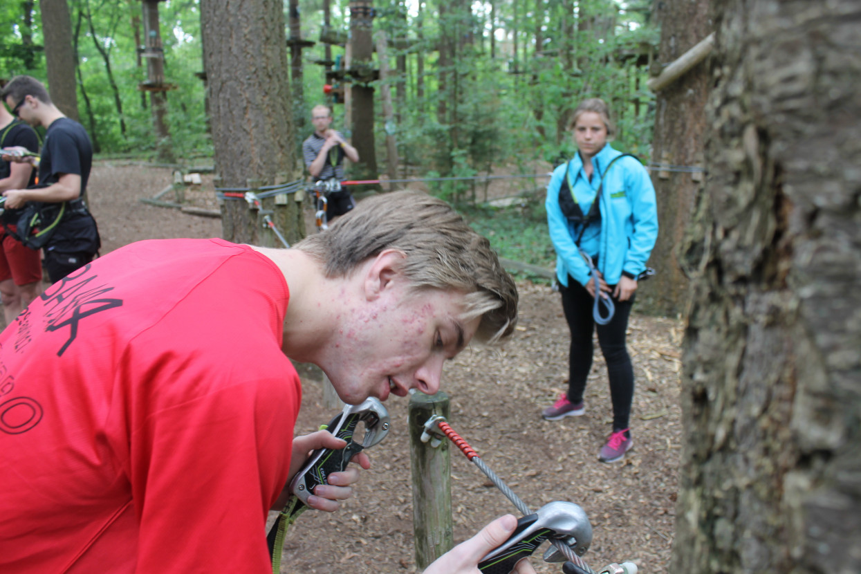 Climbing forest