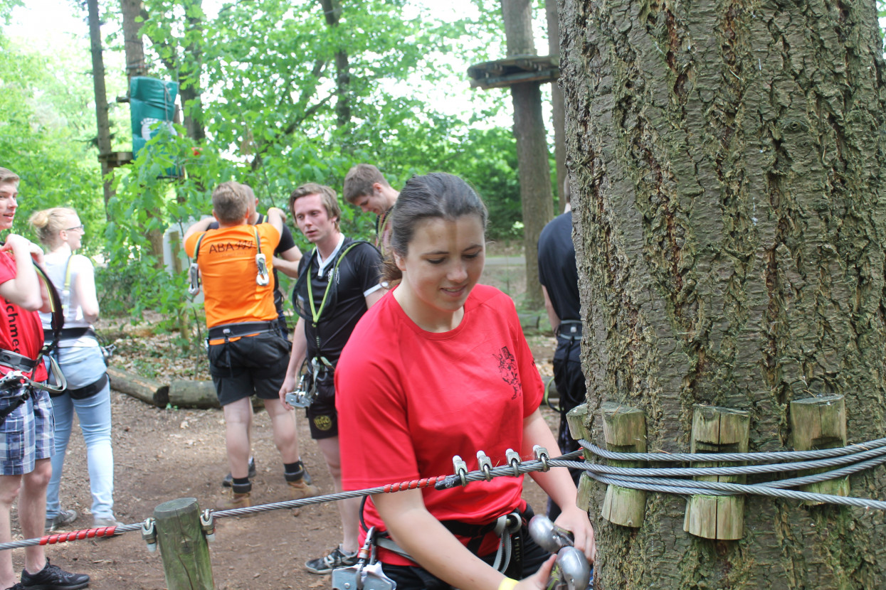 Climbing forest