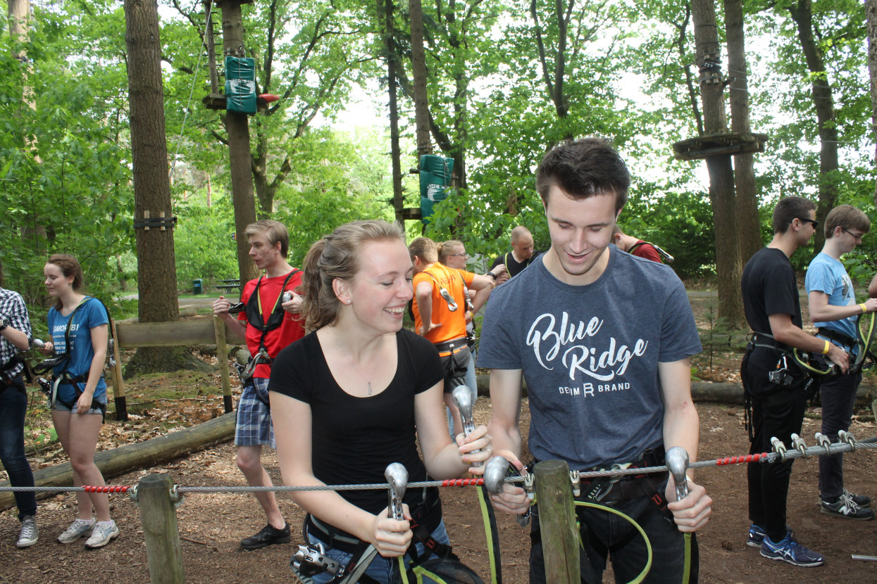 Climbing forest