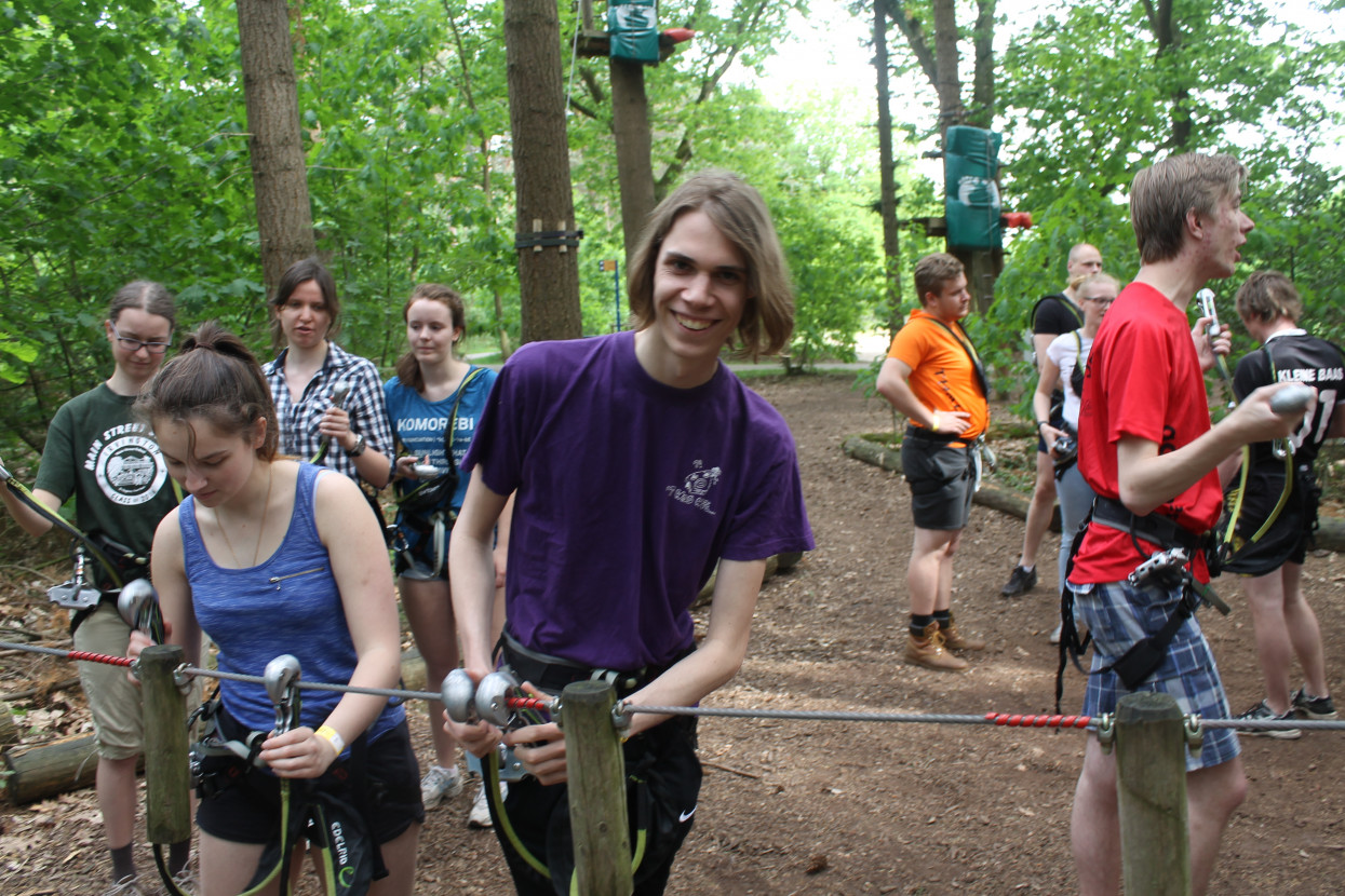 Climbing forest