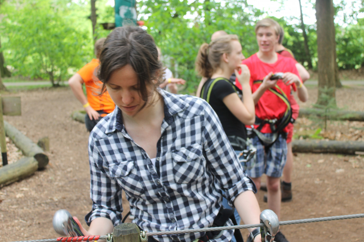 Climbing forest