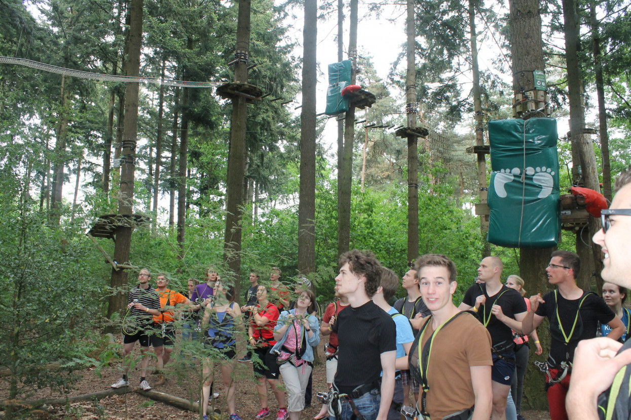 Climbing forest