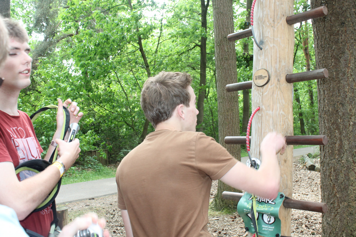 Climbing forest