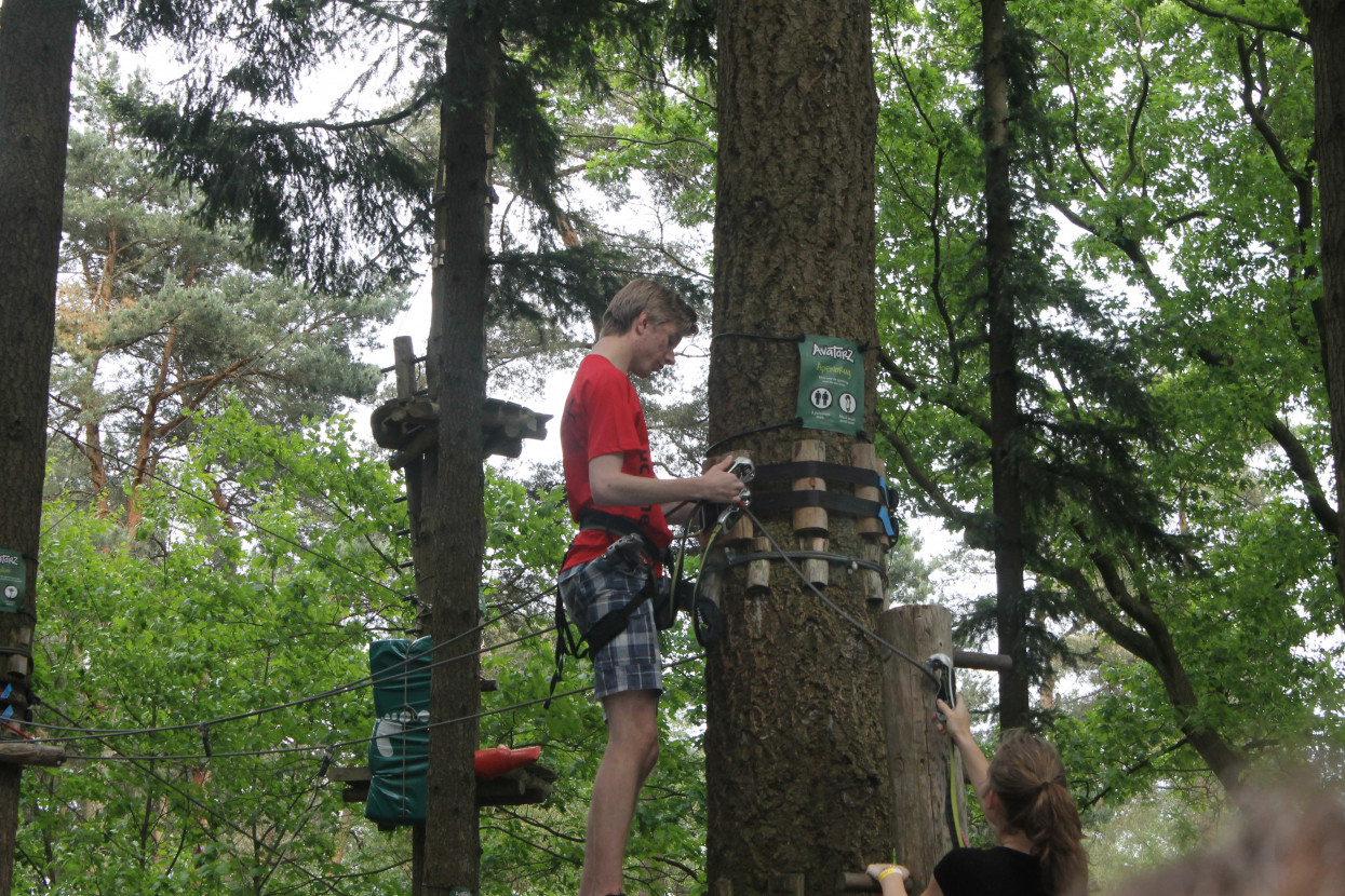 Climbing forest