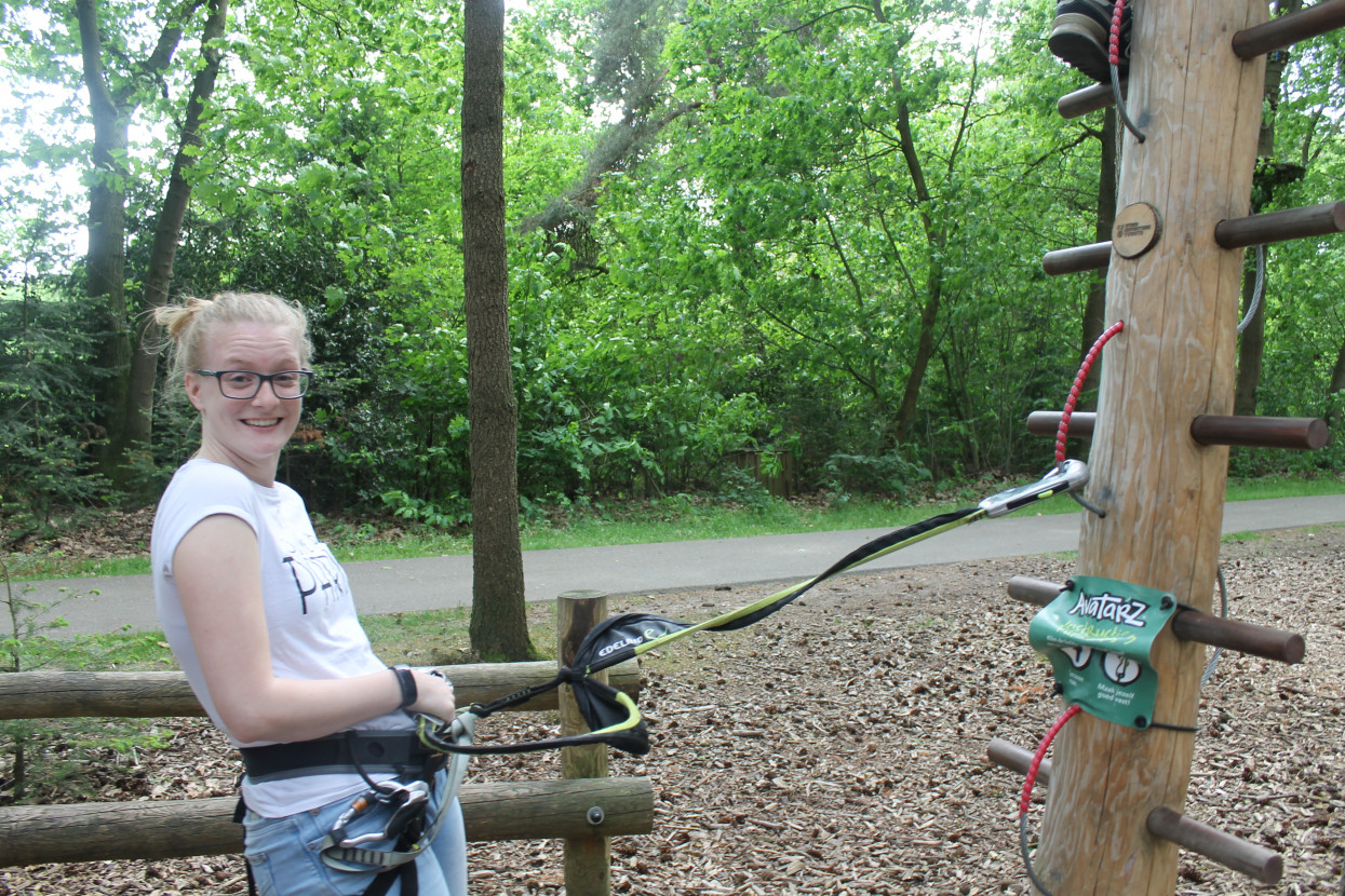 Climbing forest