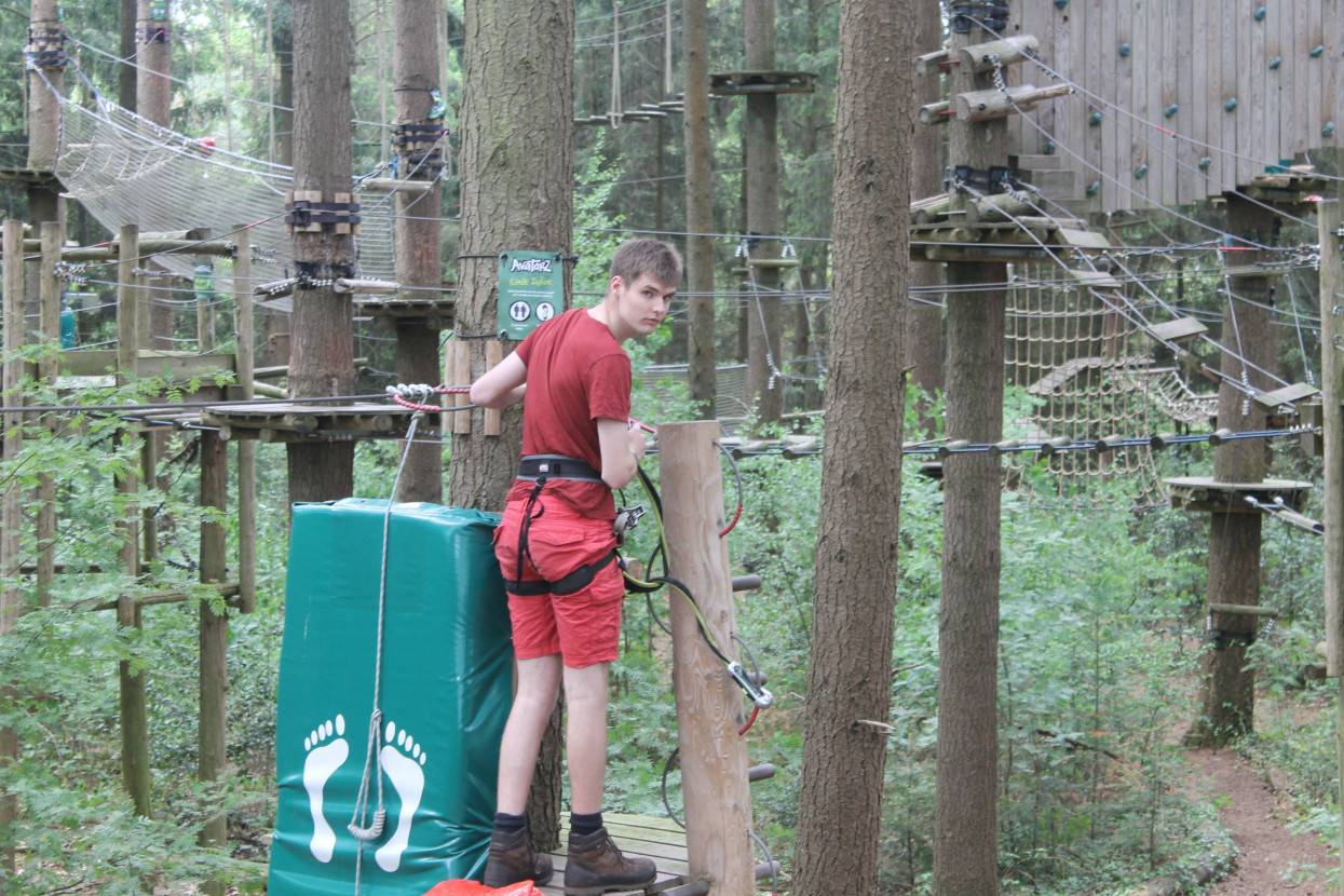 Climbing forest