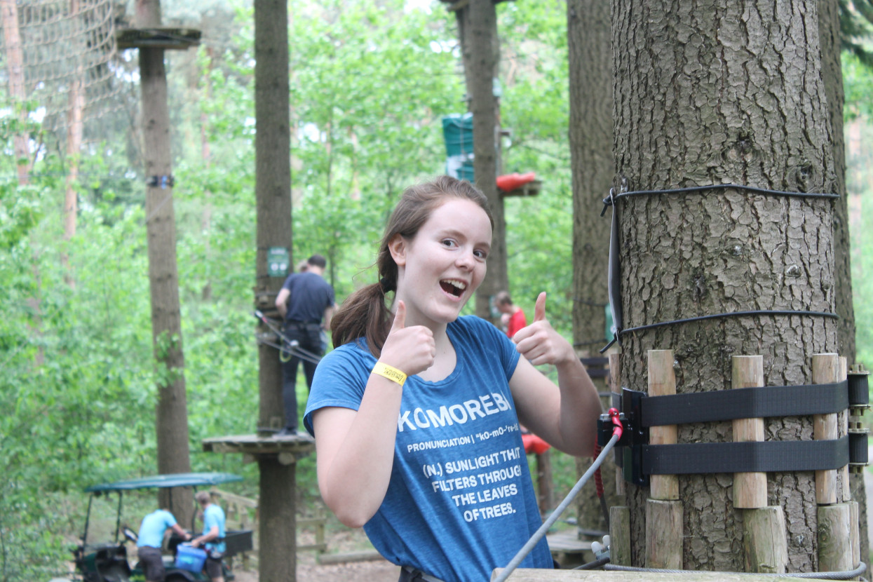 Climbing forest