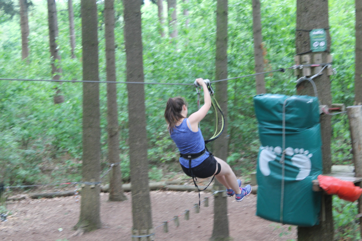 Climbing forest