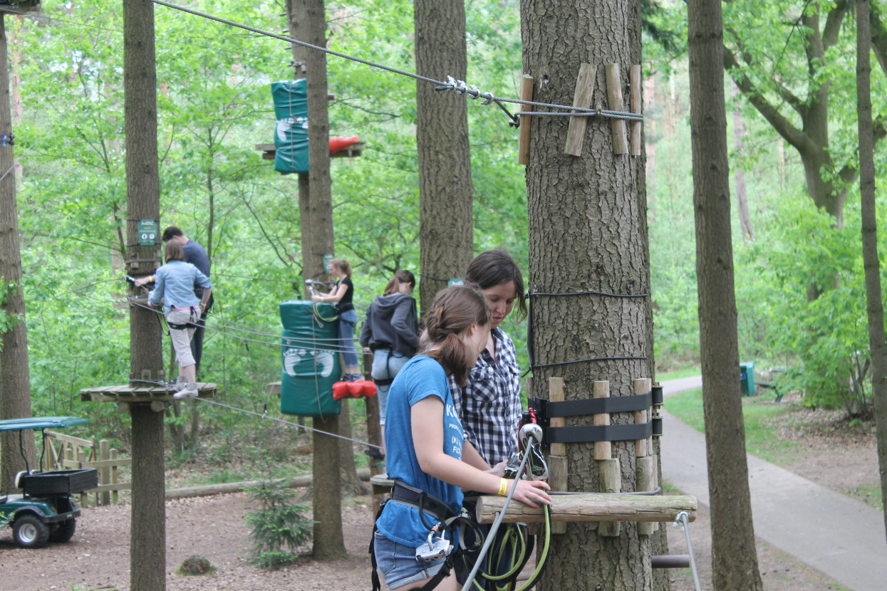 Climbing forest