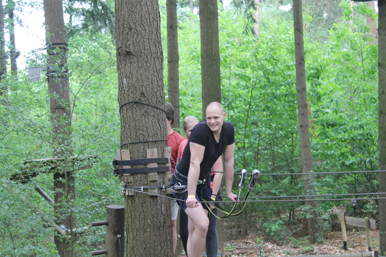 Climbing forest