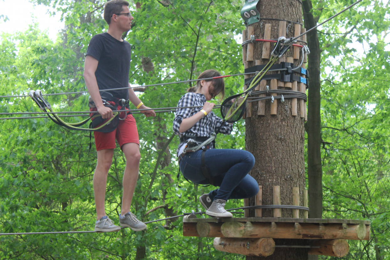 Climbing forest