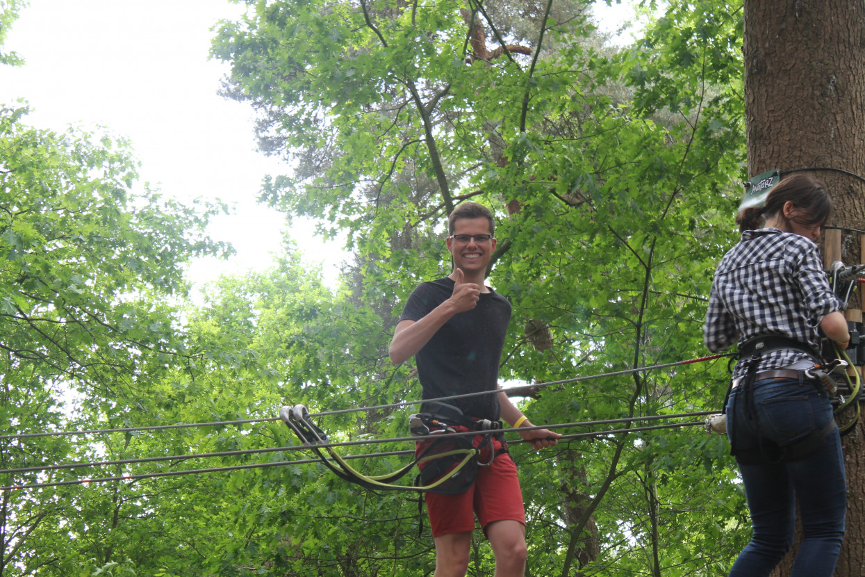 Climbing forest