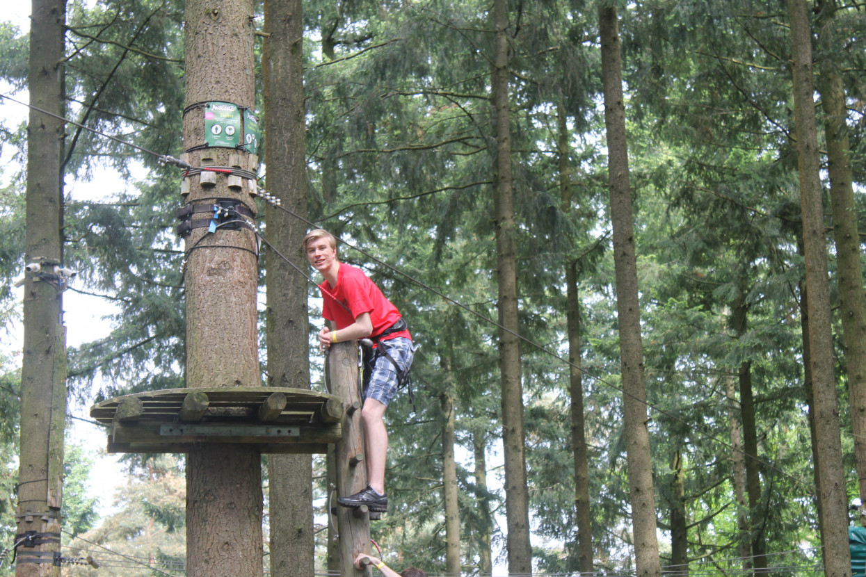 Climbing forest