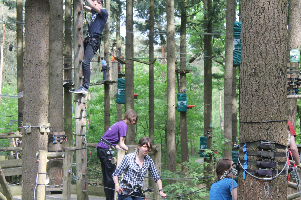 Climbing forest