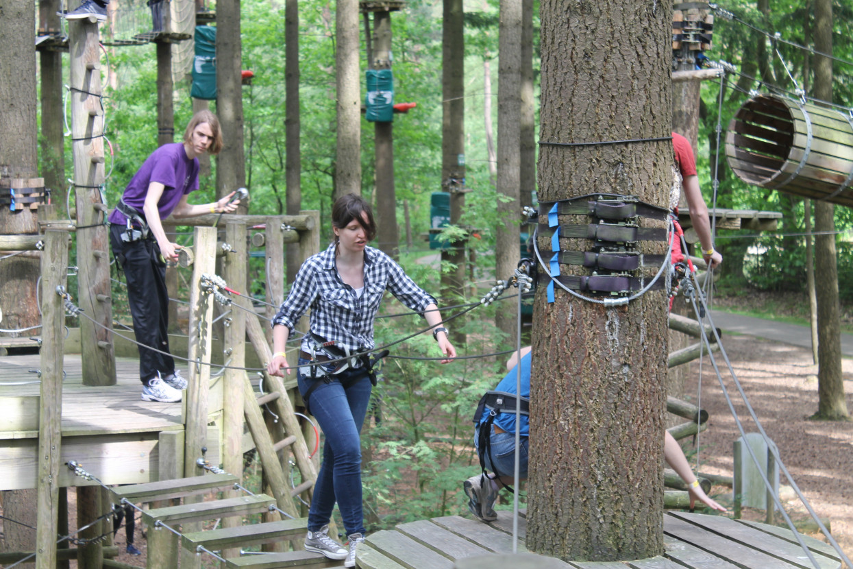 Climbing forest