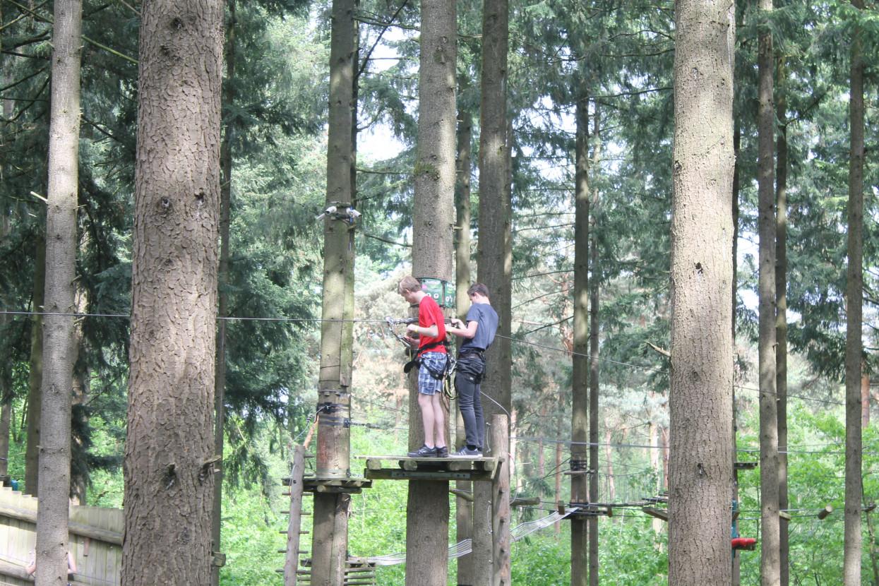 Climbing forest