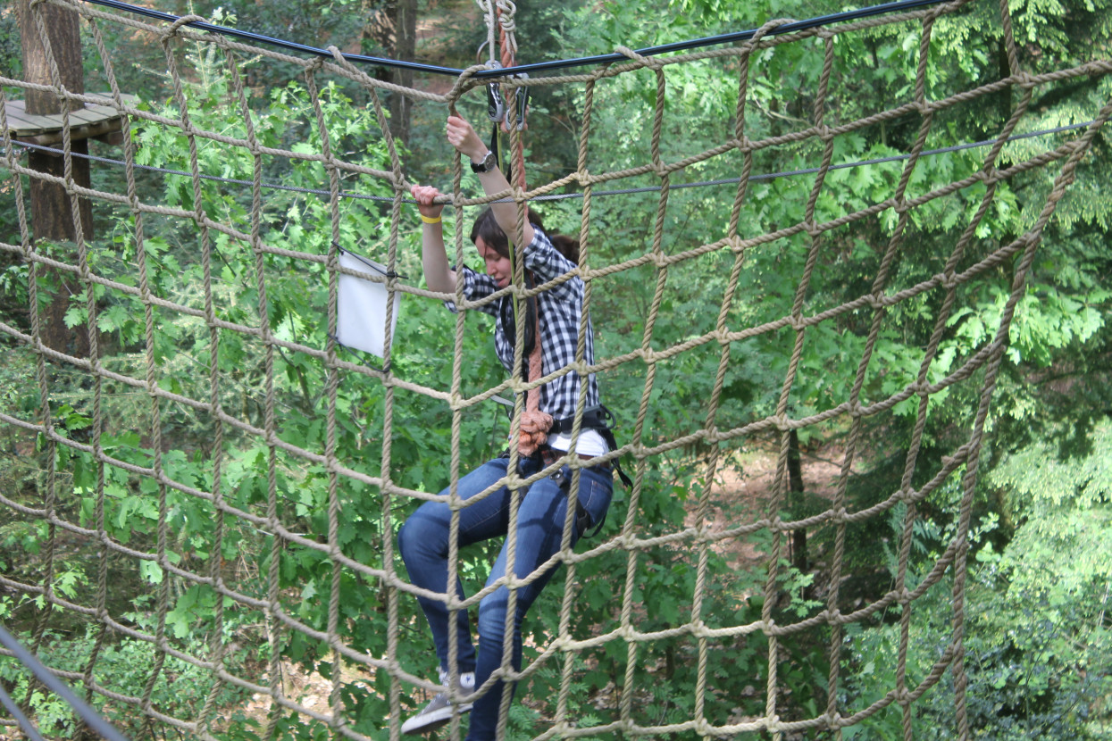 Climbing forest