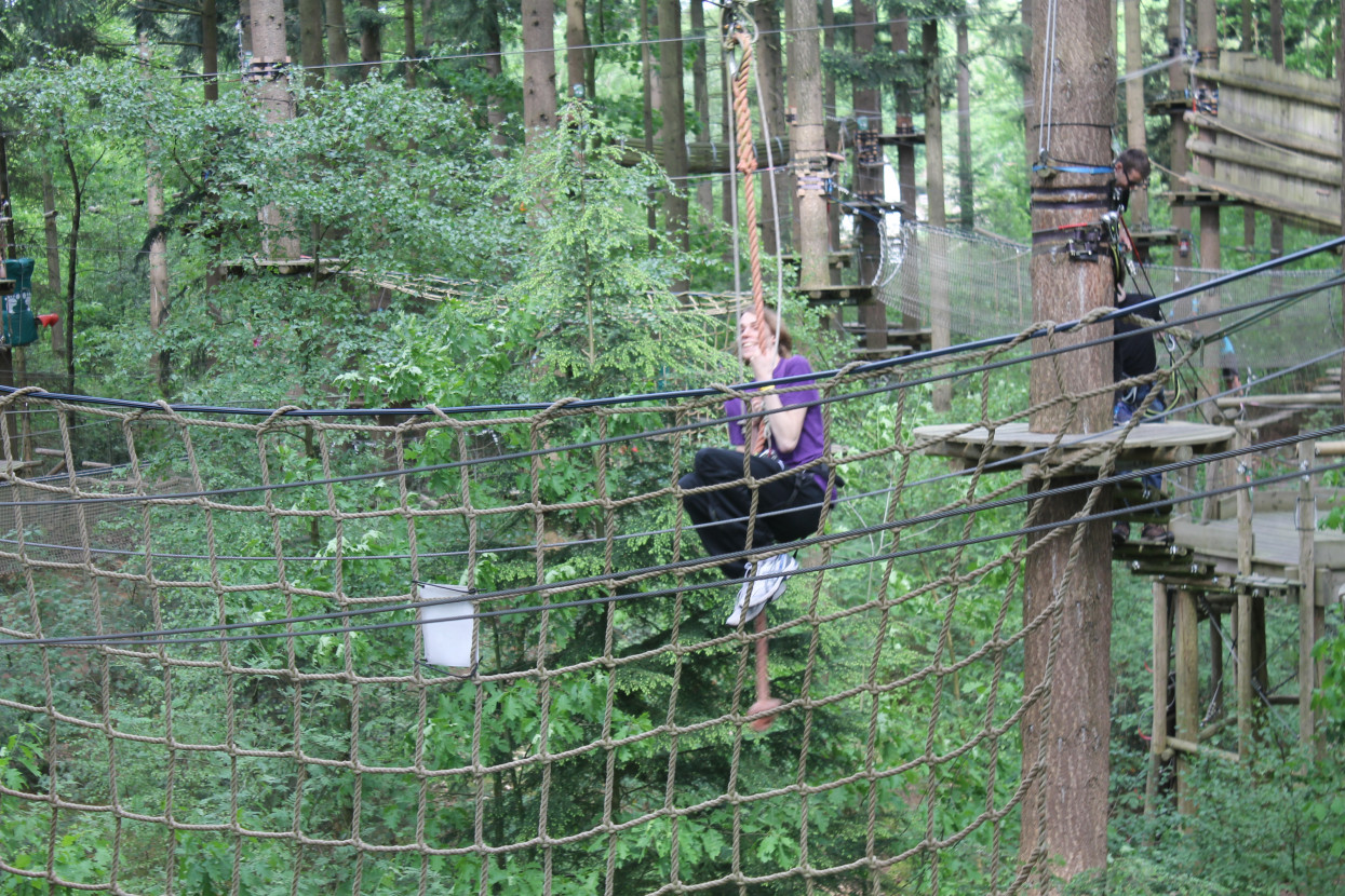 Climbing forest