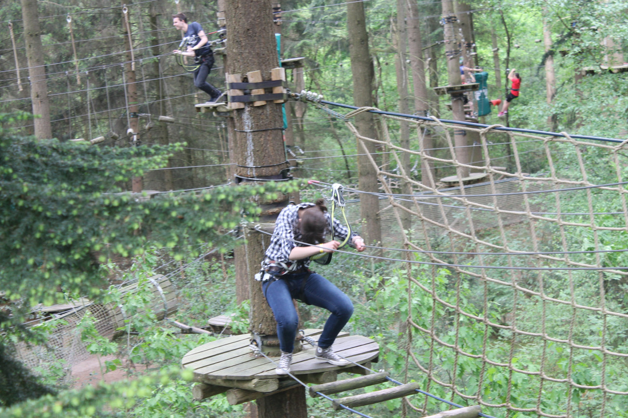 Climbing forest